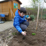 Zur großen Ansicht des Bildes